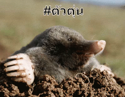 A Mole Is Sticking Its Head Out Of A Hole In The Ground With A # Written On The Bottom GIF
