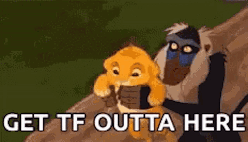 A Monkey And A Lion From The Lion King Are Standing Next To Each Other On A Rock . GIF