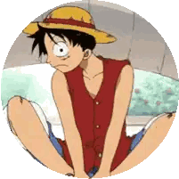 a monkey d luffy from one piece sits on the floor with his legs crossed