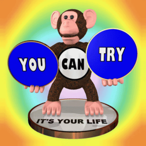 A Monkey Holding A Blue Circle That Says " You Can Try " GIF