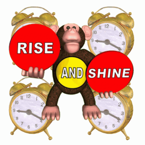 A Monkey Holding A Sign That Says Rise And Shine Surrounded By Alarm Clocks GIF