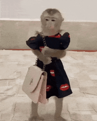 A Monkey In A Dress Is Holding A Purse GIF