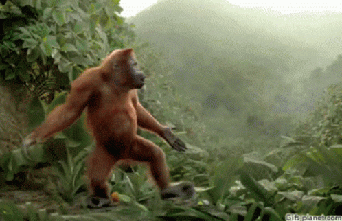 A Monkey Is Dancing In The Jungle With A Gif Planet.com Watermark GIF