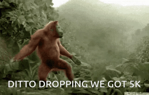 A Monkey Is Dancing In The Jungle With The Words " Ditto Dropping We Got 5K " Below It GIF