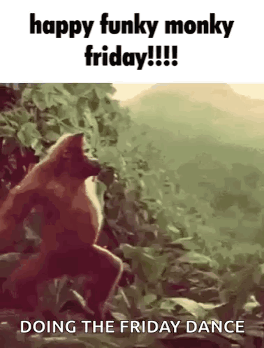 A Monkey Is Doing The Friday Dance In The Jungle GIF