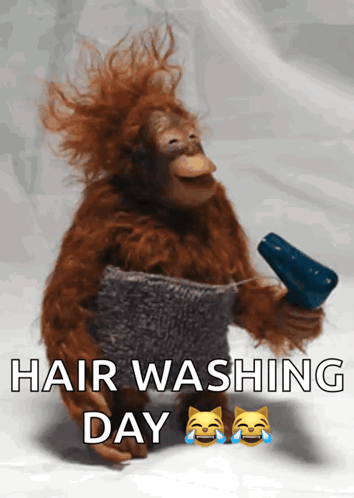 a monkey is holding a hair dryer and a sweater with the words hair washing day above it