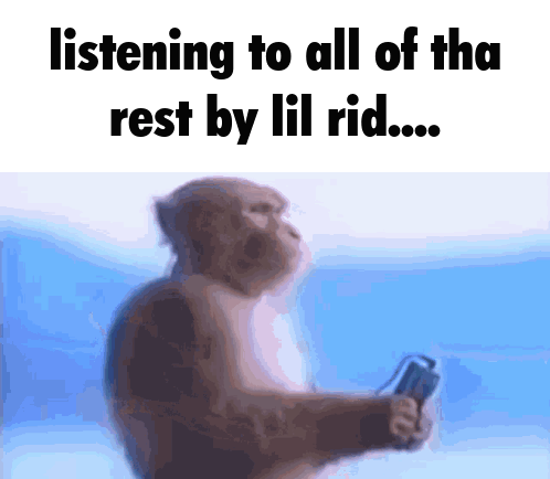 a monkey is holding a remote control and listening to all of the rest by lil rid