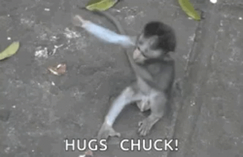 A Monkey Is Hugging A Man In A Black And White Photo . GIF