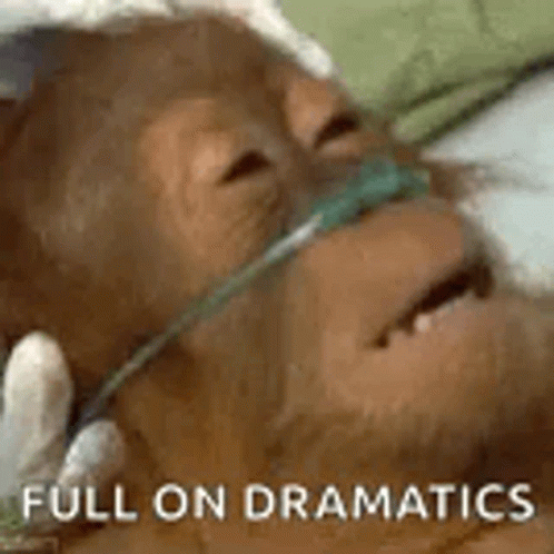 A Monkey Is Laying In A Hospital Bed With An Oxygen Mask On His Face . GIF