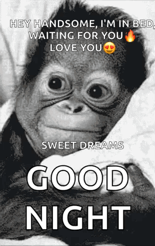 A Monkey Is Laying In Bed With A Good Night Message On It . GIF