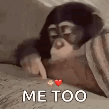 A Monkey Is Laying On A Bed With A Heart And The Words `` Me Too '' Written On It . GIF