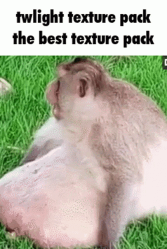 A Monkey Is Laying On A Piece Of Meat In The Grass With The Caption Twilight Texture Pack The Best Texture Pack . GIF