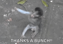 A Monkey Is Laying On The Ground With The Words `` Thanks A Bunch '' Written Above It . GIF