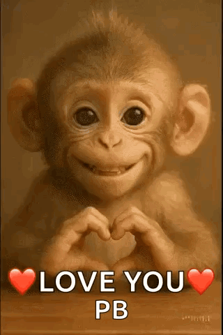 A Monkey Is Making A Heart With Its Hands . GIF