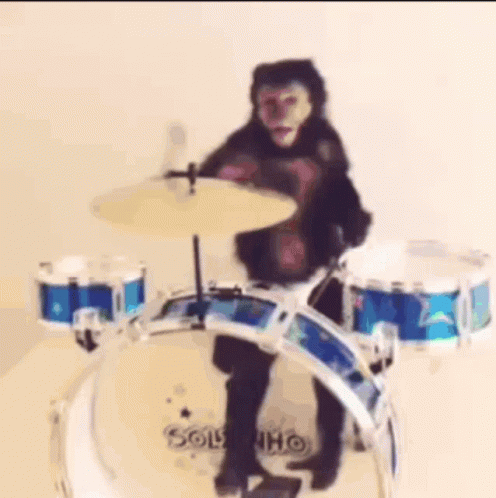 A Monkey Is Playing A Drum Set On A White Background . GIF