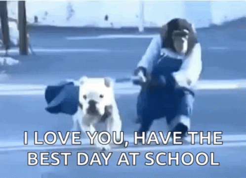 A Monkey Is Riding A Motorcycle Next To A Bulldog . GIF
