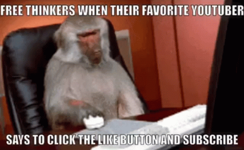 A Monkey Is Sitting In Front Of A Computer Screen With A Meme That Says Free Thinkers When Their Favorite Youtuber GIF