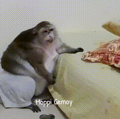 A Monkey Is Sitting On A Couch With The Words Moppi Gemoy Written On The Bottom GIF