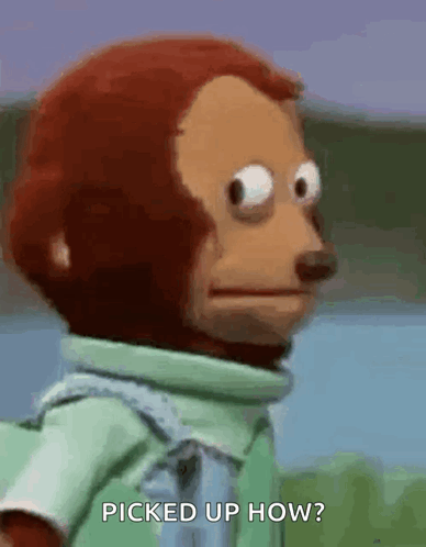 A Monkey Is Standing In Front Of A Body Of Water And Looking At The Camera . GIF