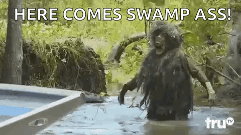 a monkey is standing in the water with the words `` here comes swamp ass '' behind him .