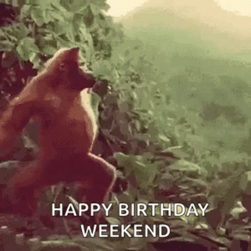 A Monkey Is Standing In The Woods With The Words `` Happy Birthday Weekend '' . GIF