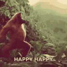 A Monkey Is Standing In The Woods With The Words `` Happy Happy '' Written On The Bottom . GIF