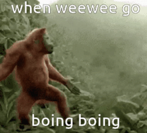A Monkey Is Standing In The Woods With The Words `` When Weewee Go Boing Boing '' Written On The Bottom . GIF
