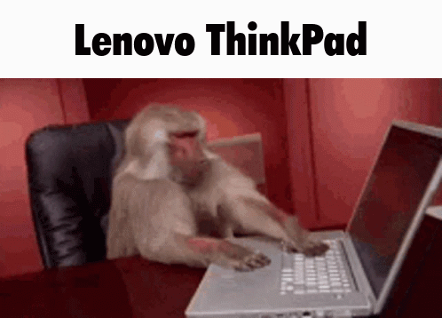 A Monkey Is Typing On A Laptop With The Words Lenovo Thinkpad Above It GIF