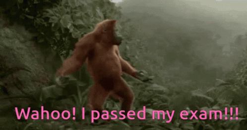 A Monkey Is Walking Through A Forest With The Words " Wahoo I Passed My Exam " Written Below It GIF