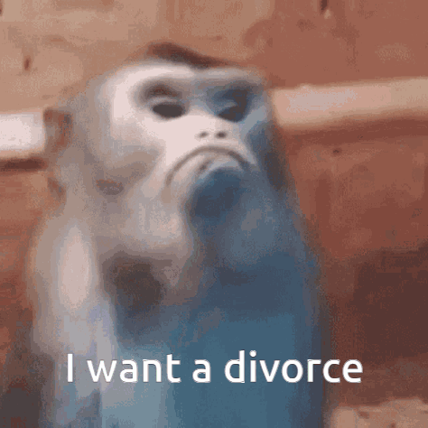 A Monkey Says I Want A Divorce In A Blurry Image GIF