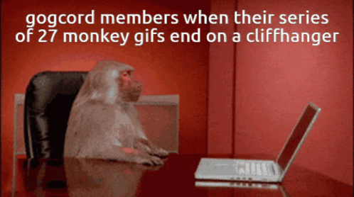 A Monkey Sits At A Desk In Front Of A Laptop With A Red Background GIF