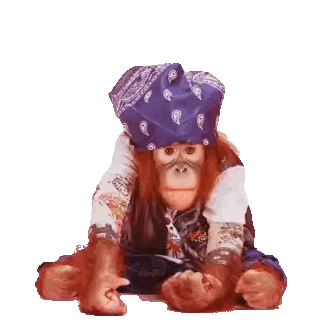 a monkey wearing a bandana and a hat with the words hello world above it