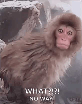 A Monkey Wearing A Hooded Jacket Is Sitting In A Bathtub And Asking What ? No Way . GIF