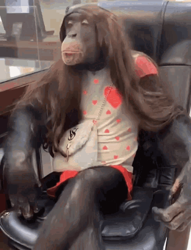 A Monkey Wearing A Wig Is Sitting In A Chair With A Purse GIF