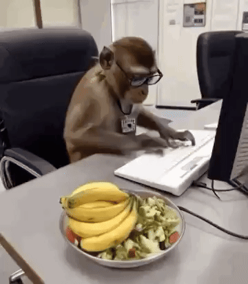 A Monkey Wearing Glasses Is Typing On A Laptop Next To A Plate Of Bananas And Vegetables . GIF