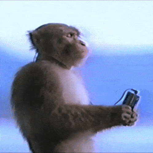 A Monkey Wearing Headphones Is Holding A Camera GIF