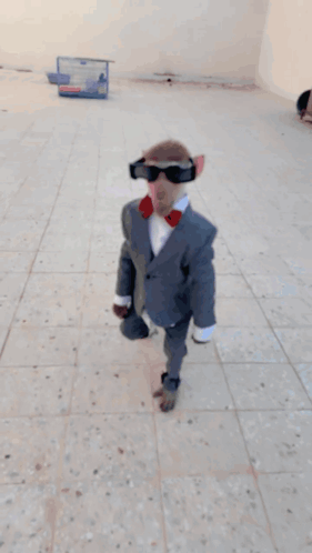 A Monkey Wearing Sunglasses And A Suit Stands On A Tiled Floor GIF