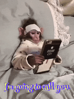 A Monkey With A Bandage On Its Head Is Holding A Cell Phone With Desire City On It GIF