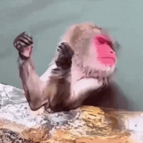 A Monkey With A Pink Face Is Laying On A Rock GIF