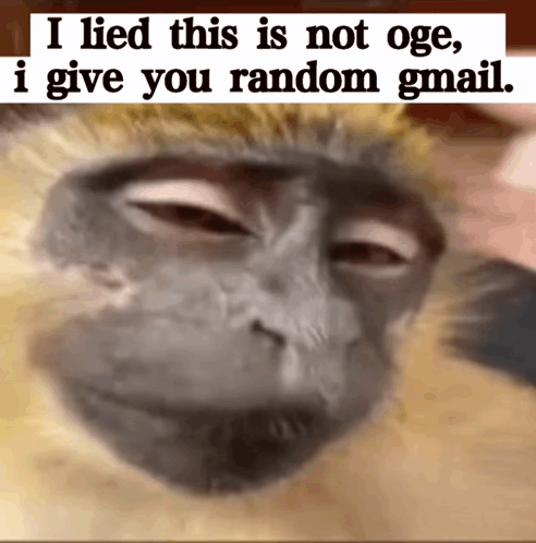 A Monkey With The Words I Lied This Is Not Oge I Give You Random Gmail GIF
