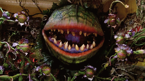 A Monster With Purple Teeth Is Surrounded By Purple And Green Flowers GIF
