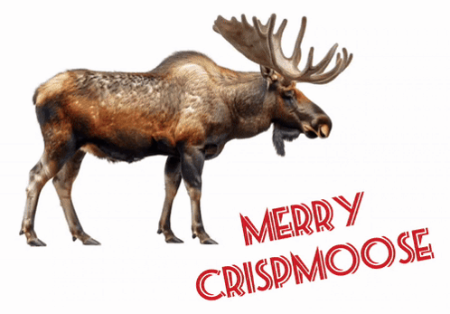 A Moose On A White Background With Merry Crispmoose Written Below It GIF