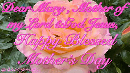 A Mother 'S Day Card With A Pink Flower And The Words Dear Mary Mother Of My Lord And God Jesus GIF