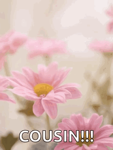 A Mother 'S Day Card With Pink Flowers And The Words " Happy Mother 'S Cousin !!! " GIF