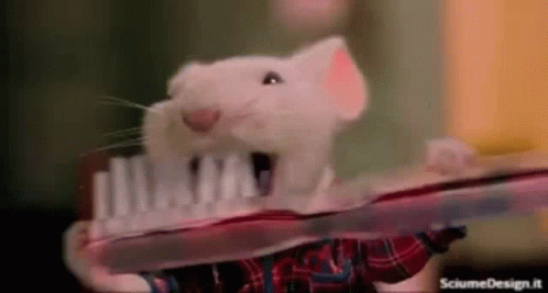 A Mouse Is Brushing Its Teeth With A Toothbrush GIF