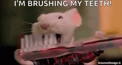 A Mouse Is Brushing Its Teeth With A Toothbrush And A Plaid Shirt . GIF