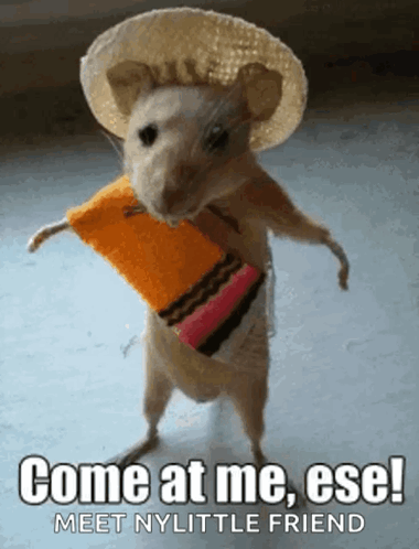 A Mouse Wearing A Sombrero And A Scarf Says Come At Me Ese Meet My Little Friend GIF