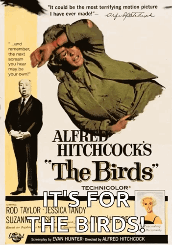 A Movie Poster For Alfred Hitchcock 'S Birds GIF