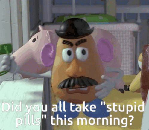 A Mr Potato Head From Toy Story Says " Did You All Take Stupid Pills " GIF