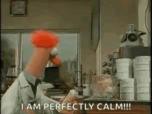 A Muppet Is Holding A Sandwich And Saying `` I Am Perfectly Calm ! '' GIF